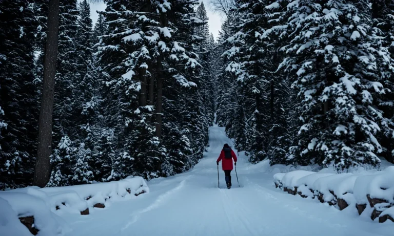 Top Canadian Winter Boots Brands To Keep Your Feet Warm And Dry