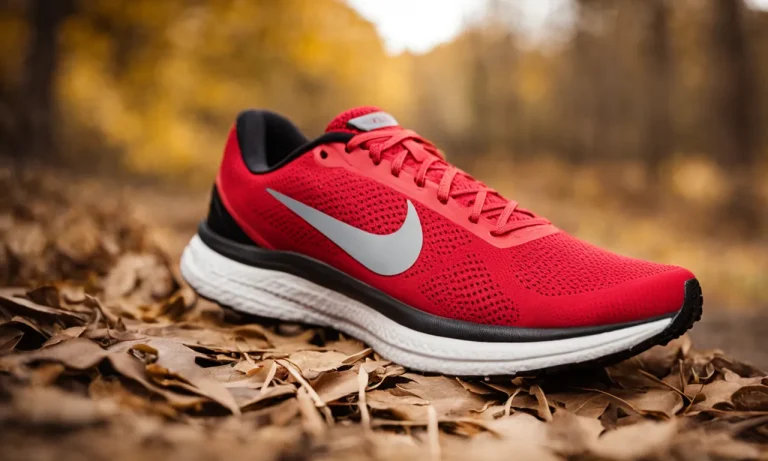 What Makes A Good Running Shoe? A Comprehensive Guide